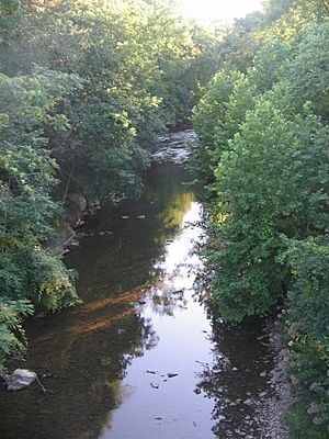 White Deer Creek