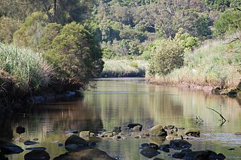 Wolli Creek.JPG