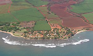 Aerial view of Pakala Village