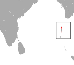 Andaman Horseshoe Bat area.png