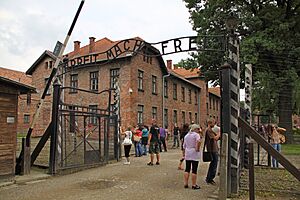 AuschwitzBirkenau 06