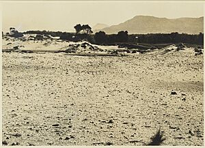 Bellambi Point shell middens (1932)