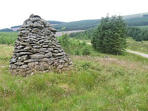 Blue Cairn