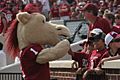 Boomer or Sooner Mascot