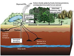 Carbon sequestration