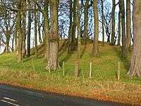 Castle Hill - Eaglesham