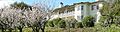 Springtime photograph of Tao House, perched on a hillside above blossoming orchard trees.