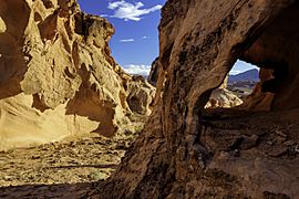 Gold Butte National Monument 5.jpg