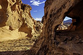 Gold Butte National Monument 5.jpg