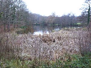 Herstmonceux Park (3).jpg