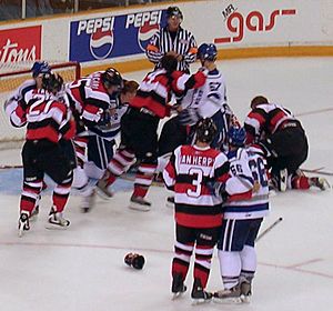 Hockeyfight