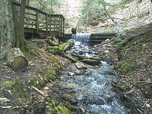 Iargo Springs Oscoda MI