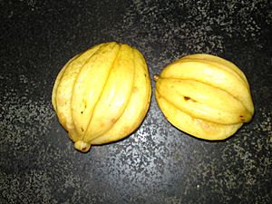 Kudampuli Yellow