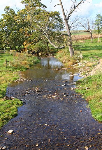 Little Buffalo Creek looking upstream.JPG