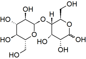 Maltose cyclic horizontal