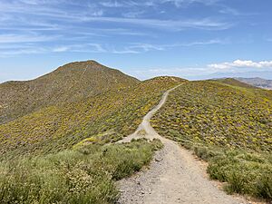 Menifee Hills - May 2024