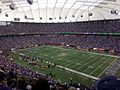 Metrodome 101313