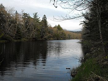 MusquodoboitRiver 2010.jpg