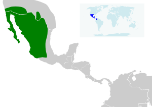 Nyctinomops femorosaccus map.svg