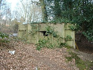 Pillbox at Curzon Bridges (South)