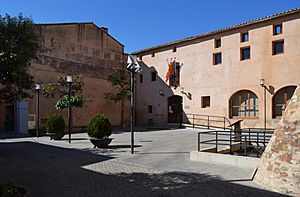 Plaça de l'ajuntament de Benavites