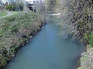 Pringle Creek in Salem, OR