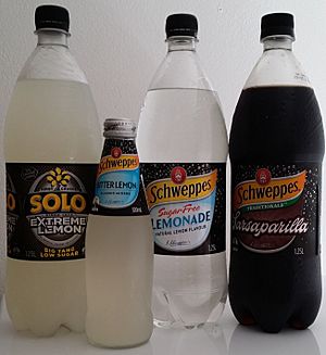 SampleofSchweppesDrinks3