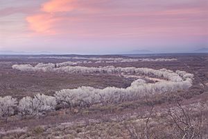 San Pedro Riparian NCA (9407201400).jpg