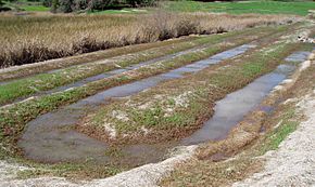 Sedimentpondsfoundtaingrovelake