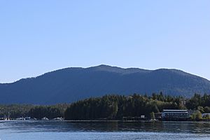 ShearwaterBC