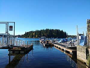 Silcox Island from community dock