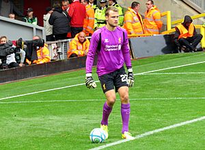 Simon Mignolet, 2014