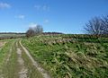 Southwestward view along Ladies Mile, Patcham (February 2014)