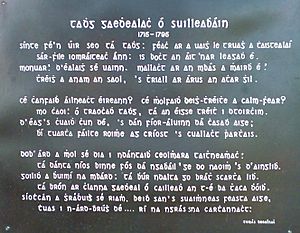 TGOSuilleabhain Irish Poet