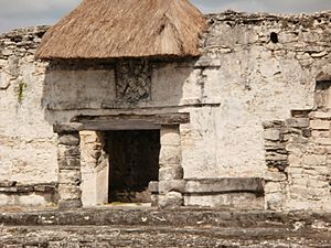 ThatchTulum