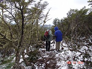 Trekking in the Andean Club