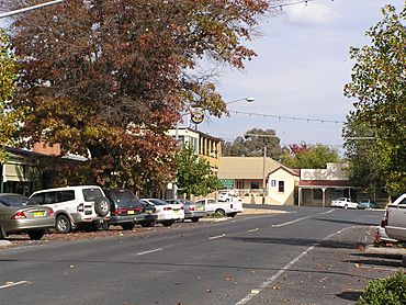 TumbarumbaNSW200504.JPG