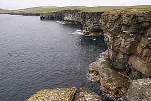 West coast of Westray - geograph.org.uk - 1397980