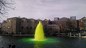 White River dyed green, Indianapolis, 2015