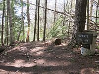 Wilgus State Park Pinnacle Summit