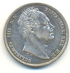 William4coin