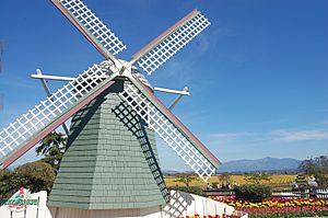 Windmill at Roozengaarde