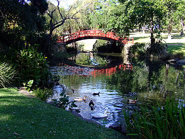 Wollongongbotanicgardens.JPG