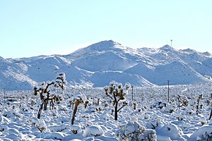 Yucca Valley San Bernardino