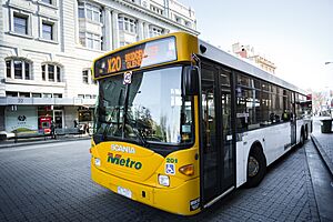 14.5 bus in Hobart