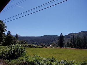 2017-07-09 McKenzie River Valley 05