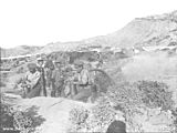 5inchHowitzerFiringGallipoli1915