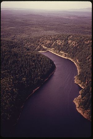 AERIAL VIEW OF CITY WATER RESERVOIR OF BREMERTON. IT IS LOCATED SOUTHEAST OF BREMERTON IN SOUTHERN KITSAP COUNTY.... - NARA - 557002.jpg