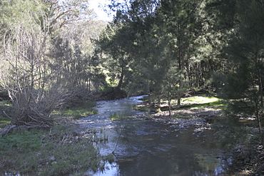 Abercrombie River 1.jpg