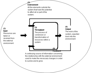 Basic Open System Model